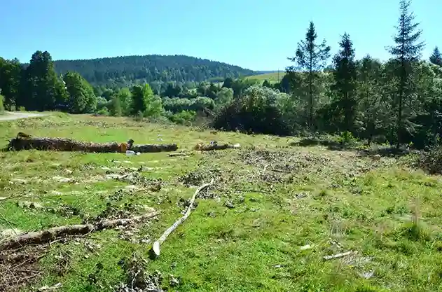 фото новини