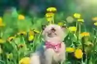 фото новини