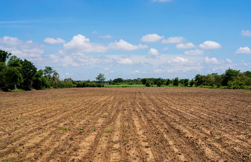 фото новини