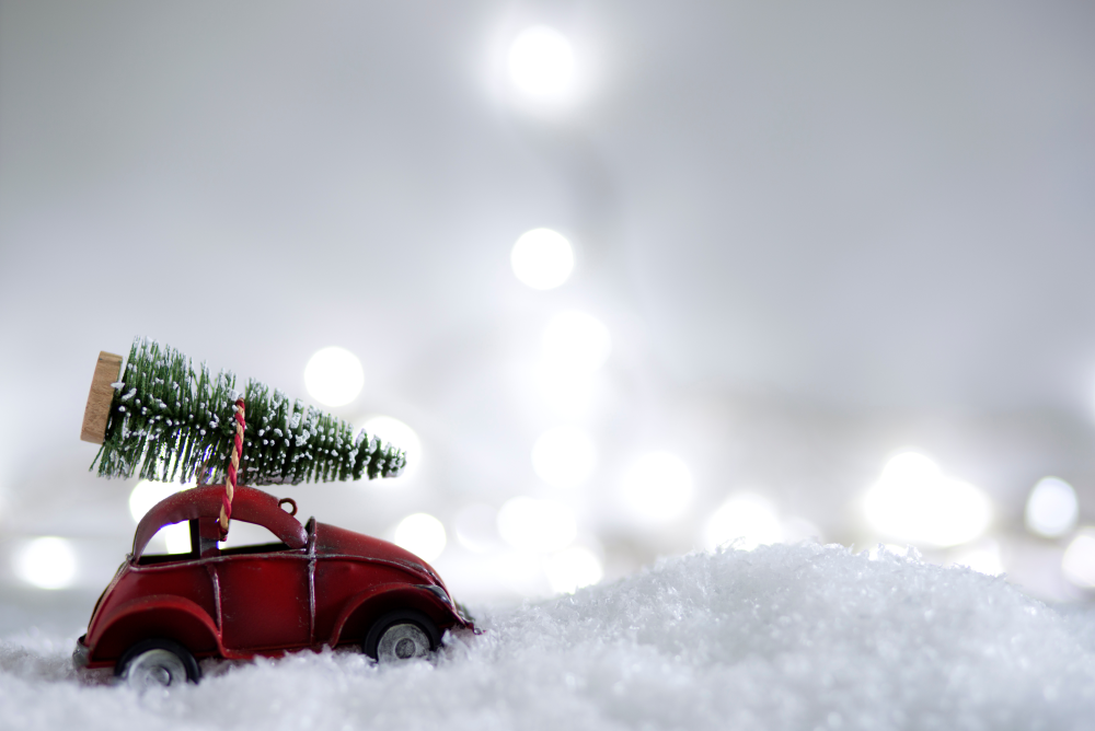 фото новини